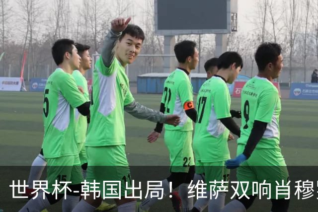 世界杯-韩国出局！维萨双响肖穆罗多夫神仙球 民主刚果3-1乌兹